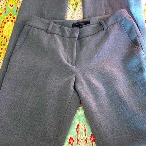 BCBGmaxazria dress pant